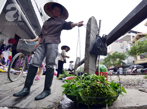 rau muống rau muống