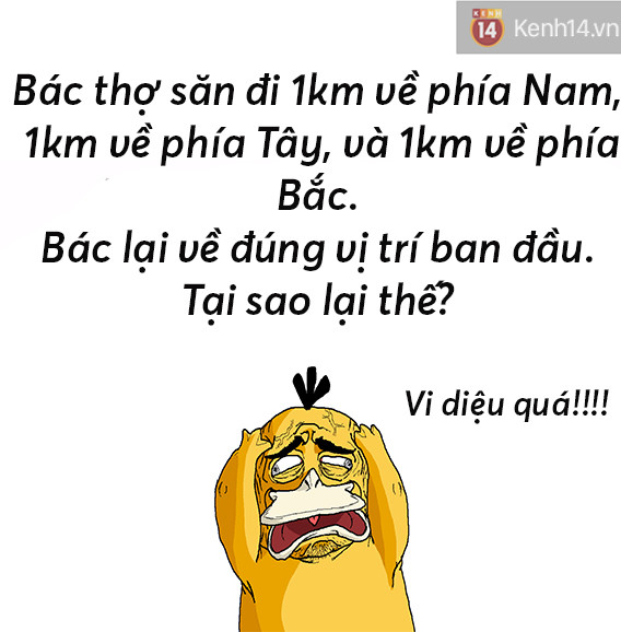 Bối rối cực đại với câu đố vô lý nhất quả đất - Ảnh 1. Bối rối cực đại với câu đố vô lý nhất quả đất - Ảnh 1.