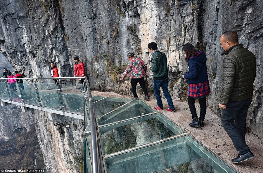 Cầu dài hơn 1.000 m, rộng khoảng 1,6 m. Tuy nhiên, nhiều du khách không dám đi trên mặt kính mà bám theo rìa bê tông sát vách đá.