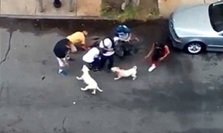 Thả chó pitbull cắn đứt tai người đàn ông trên phố