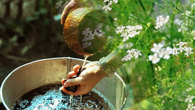 Ảnh minh họa: INT Ảnh minh họa: INT