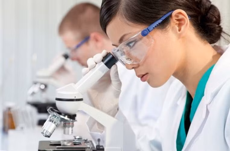 Luận án tiến sĩ phải đóng góp tri thức mới cho khoa học. Ảnh minh họa: Internet