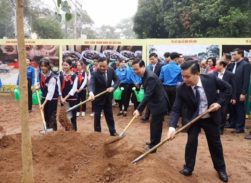 Chủ tịch nước Võ Văn Thưởng và các đại biểu trồng cây lưu niệm tại khuôn viên Di tích Quốc gia Đặc biệt Cổ Loa. (Ảnh: Thống Nhất/TTXVN)