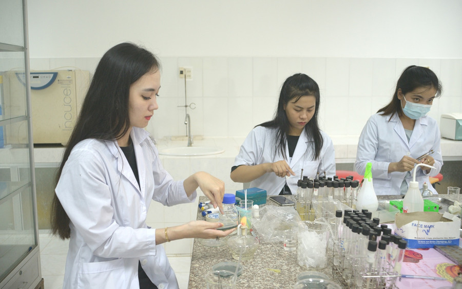 SV Trường ĐH Trà Vinh trong giờ thực hành.