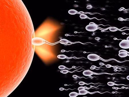 Những yếu tố làm giảm số lượng tinh trùng