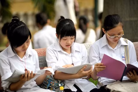 5 bước xử lý khi có hành vi bạo lực học đường