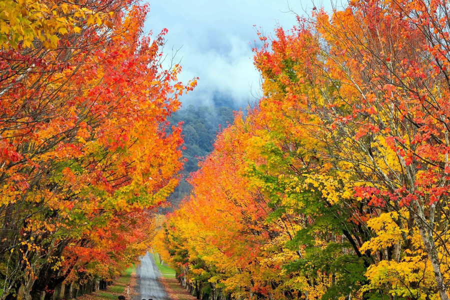 Ảnh minh họa: ITN Ảnh minh họa: ITN