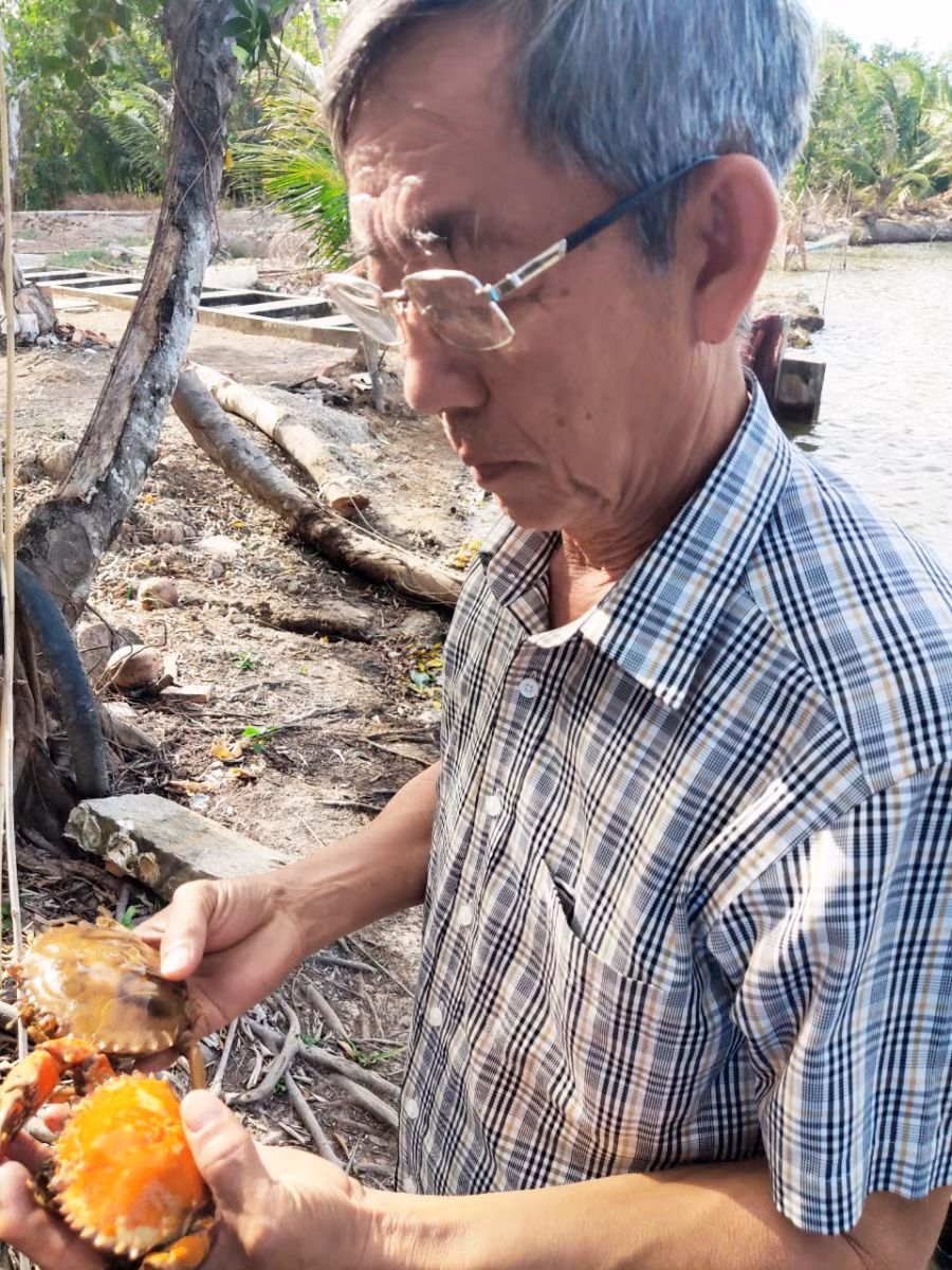 Người dân mong muốn tìm ra nguyên nhân làm cua chết hàng loạt.
