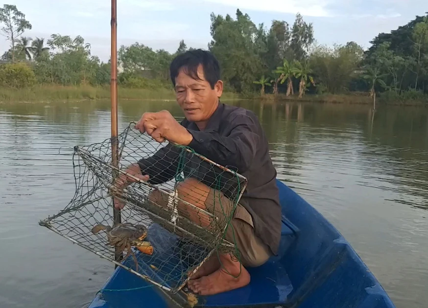 Người dân Cà Mau thu hoạch cua.