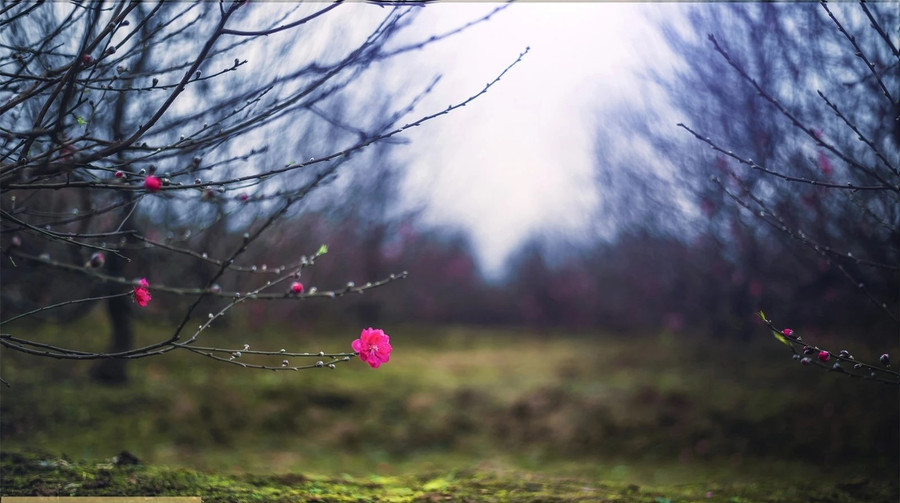 Ảnh minh họa. Ảnh minh họa.