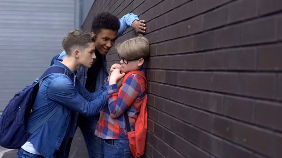 Nạn nhân của bắt nạt học đường có những thay đổi về cấu trúc não. Ảnh minh họa.