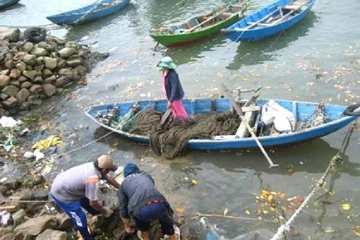 Ngư dân nuôi cá lồng ở làng chải Hải Minh (phường Hải Cảng, Quy Nhơn) thiệt hại do sự cố tràn dầu