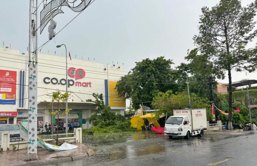 Cây da cổ thụ tại siêu thị Co.opmart Châu Đốc bị gãy, tét nhánh. (Ảnh: Page TP Châu Đốc)