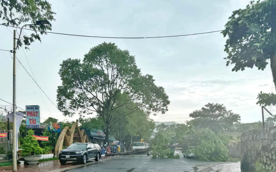 Mưa dông làm nhiều cây xanh ngã đổ ở An Giang. (Ảnh: Page TP Châu Đốc)
