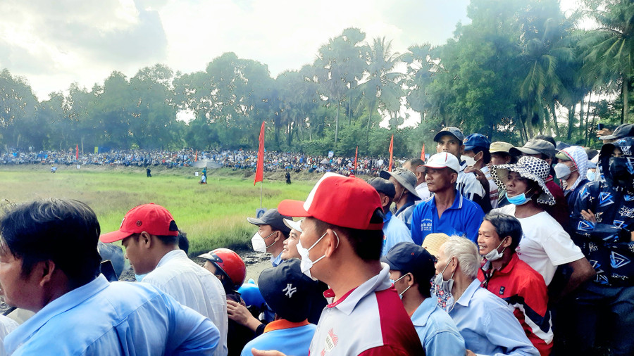 Hàng năm, Hội đua bò Bảy Núi - An Giang thu hút rất đông du khách và giới mộ điệu thưởng thức, cổ vũ.