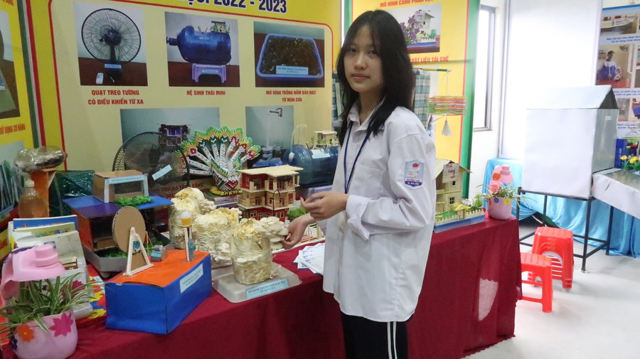 Em Nguyễn Thị Thanh Minh, học sinh lớp 9C, Trường THCS Trường Sơn với dự án trồng nấm bào ngư. Em Nguyễn Thị Thanh Minh, học sinh lớp 9C, Trường THCS Trường Sơn với dự án trồng nấm bào ngư.