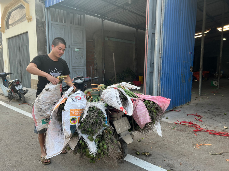 Nhiều chính sách đặc thù giúp người dân phát triển kinh tế (ảnh minh hoạ). Nhiều chính sách đặc thù giúp người dân phát triển kinh tế (ảnh minh hoạ).