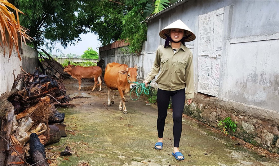 Cô học trò nghèo Phan Thị Phương đang dần chạm tay đến ước mơ trở thành luật sư. Báo Lao động Cô học trò nghèo Phan Thị Phương đang dần chạm tay đến ước mơ trở thành luật sư. Báo Lao động