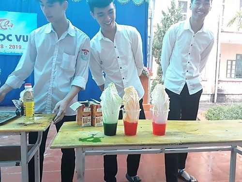 Học sinh lớp 12A4 và thí nghiệm khiến rau đổi màu