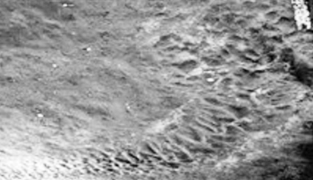 Sự thật việc hàng trăm người dân kéo nhau sang Campuchia xem “hiện tượng lạ” - Ảnh 1