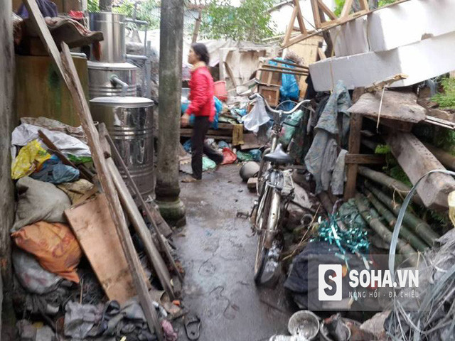  Con ngõ dẫn vào nhà cụ Lộc hai bên chất đống đồ phế thải, củi, gỗ... do cụ đi nhặt từ khắp nơi về. 
