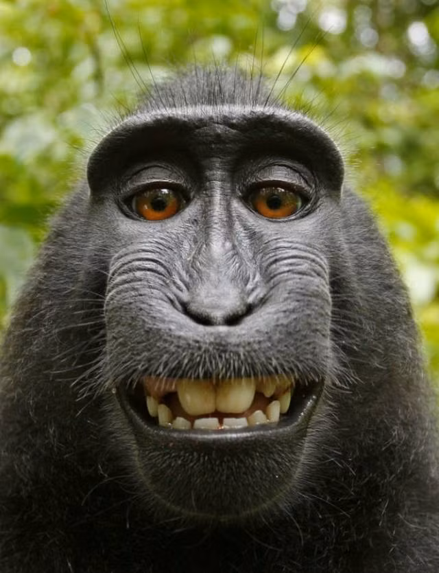 Tấm Selfie gây tranh cãi của Naruto