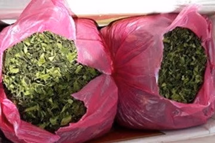 Tang vật vụ việc .