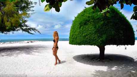 Co gai di vong quanh the gioi voi toc do nhanh ky luc - Anh 5