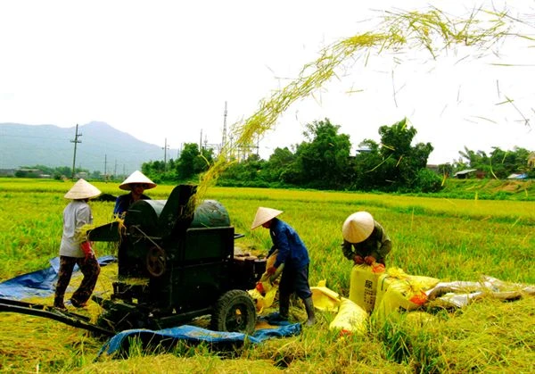 Tổng kết 5 năm Chương trình mục tiêu quốc gia xây dựng nông thôn mới 