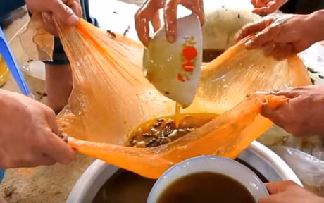 Thot tim canh lay mat ong rung tren ngon cay cao chot vot - Anh 10