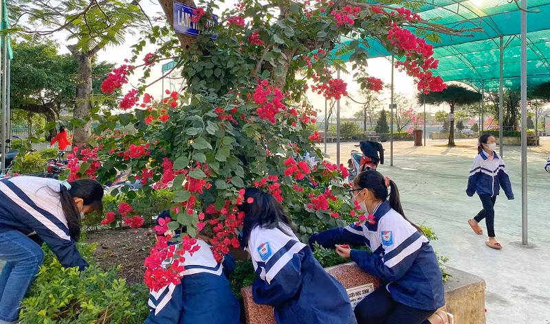 Môi trường thân thiện là một trong các yếu tố kích thích sự hứng thú của học sinh khi tới trường. 