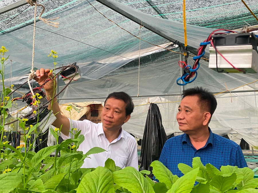 TS Hoàng Hoa Cương cùng lãnh đạo Trường ĐH Kiên Giang khảo sát khu nhà lưới tại trường.