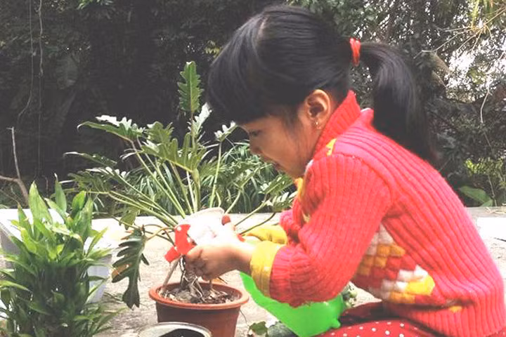 Bí quyết dạy con gái 4 tuổi hào hứng làm việc nhà