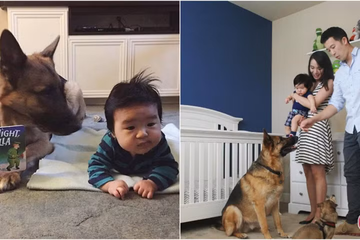 Cách kích thích trí thông minh trẻ 4-6 tháng tuổi tăng vọt của người Nhật