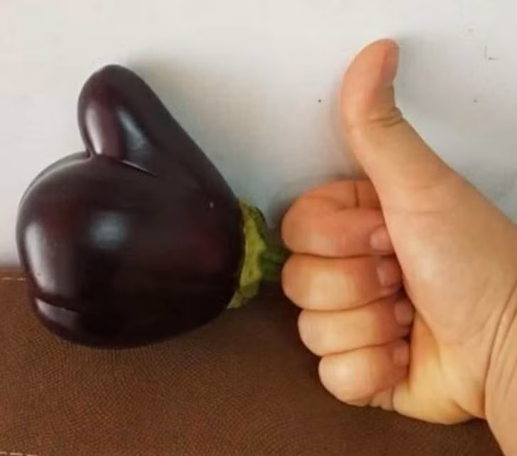 Quả cà tím ngon nhất từ trước đến nay!