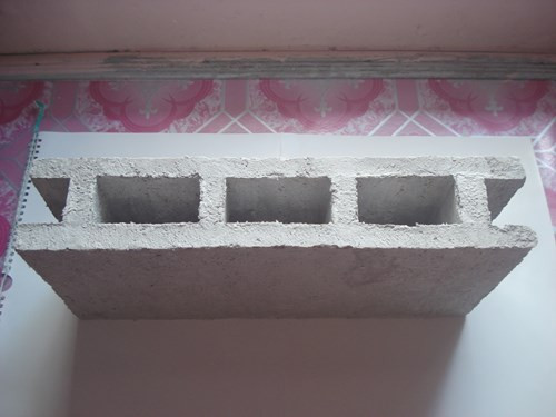 Sản phẩm gạch không nung làm từ giấy phế thải. Sản phẩm gạch không nung làm từ giấy phế thải.