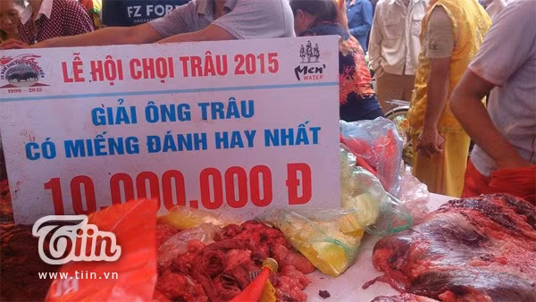 Giá thịt trâu chọi trung bình 12 triệu đồng/kg