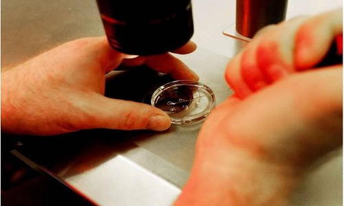 VNE-Scientists-seek-permission-4042-3572