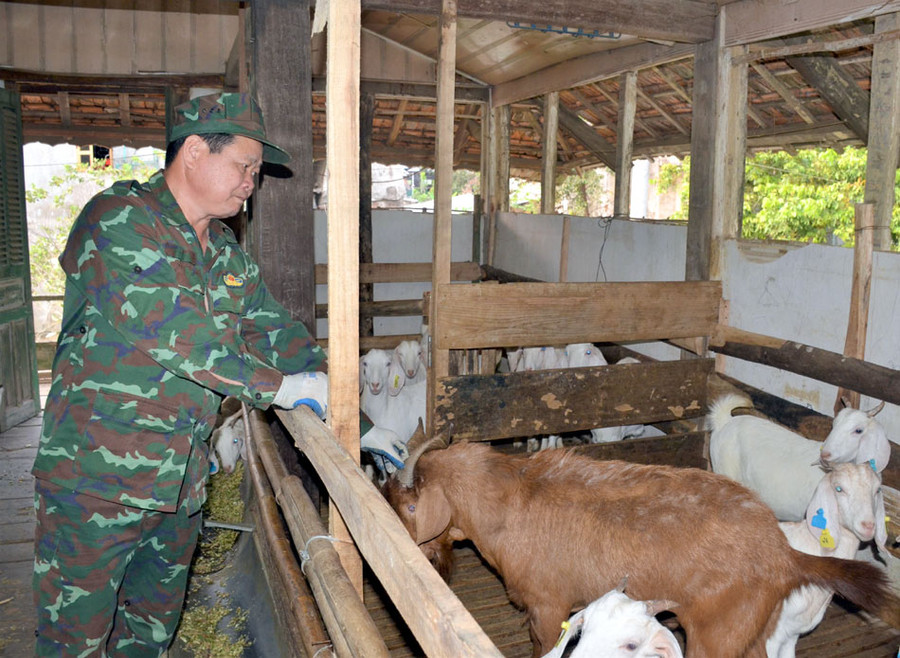 Ông Lò Văn Bun, xã Thanh Xương phát triển mô hình nuôi dê liên kết. (Ảnh: Hà Quân)