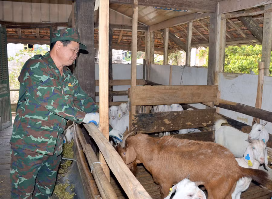 Ông Lò Văn Bun, xã Thanh Xương phát triển mô hình nuôi dê liên kết. (Ảnh: Hà Quân) Ông Lò Văn Bun, xã Thanh Xương phát triển mô hình nuôi dê liên kết. (Ảnh: Hà Quân)