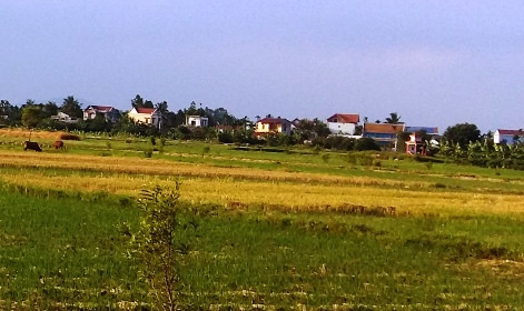 Chuyển mục đích sử dụng đất tại Hải Dương