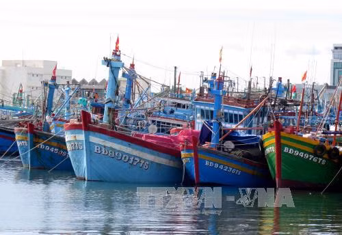 Xử lý nghiêm đối tượng trục lợi từ chính sách hỗ trợ khai thác thủy sản