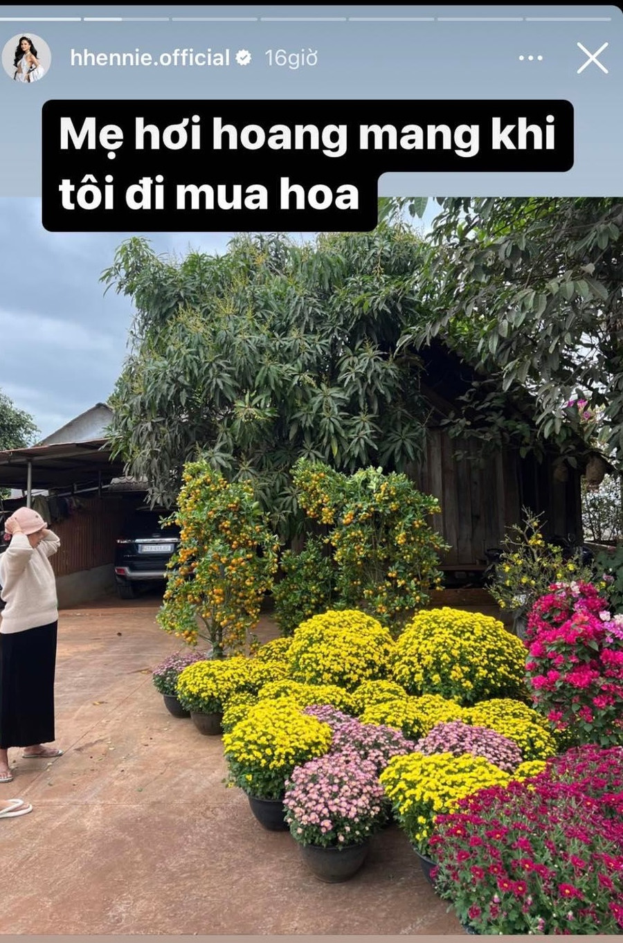 Hoa hậu H&apos;Hen Niê về quê từ rất sớm để tự tay đi chợ hoa, lựa chọn những loại hoa ưng ý nhất để trang trí nhà cửa ngày Tết.