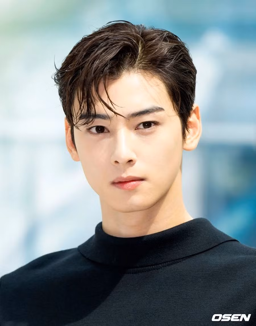 Cha Eunwoo (ASTRO): Anh bị ghét với lý do không tưởng vì là thành viên nổi tiếng nhất của ASTRO nhờ ngoại hình đẹp, điều mà ngay cả chính anh ấy không thể kiểm soát được.