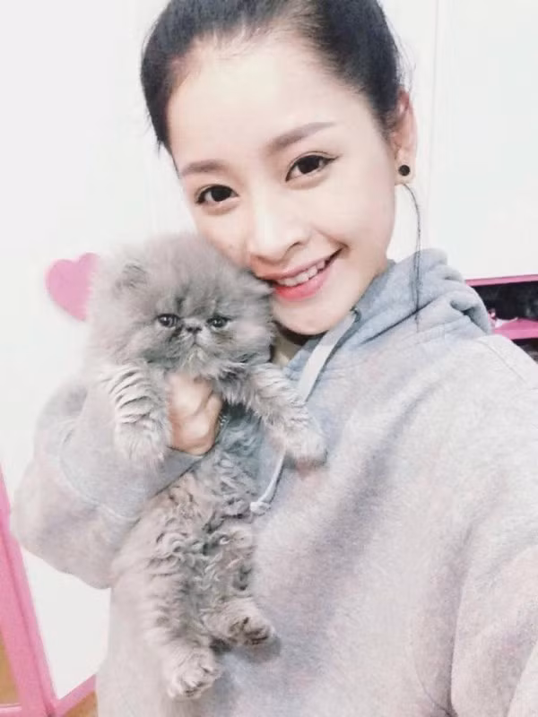 Thức thâu đêm chờ đỡ đẻ cho mèo giá nghìn USD ở Hà Nội ảnh 9