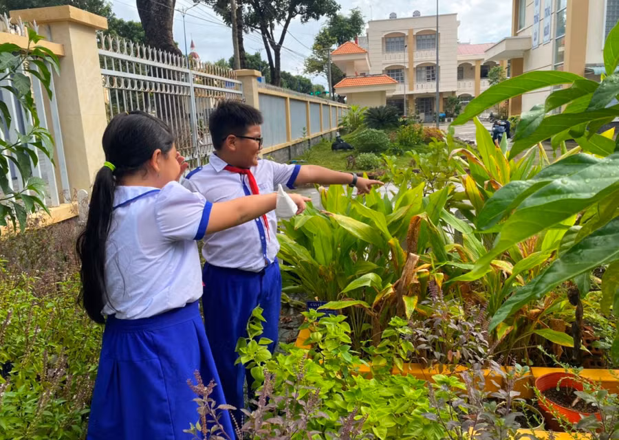 Học sinh cùng nhau chăm sóc vườn thuốc nam.