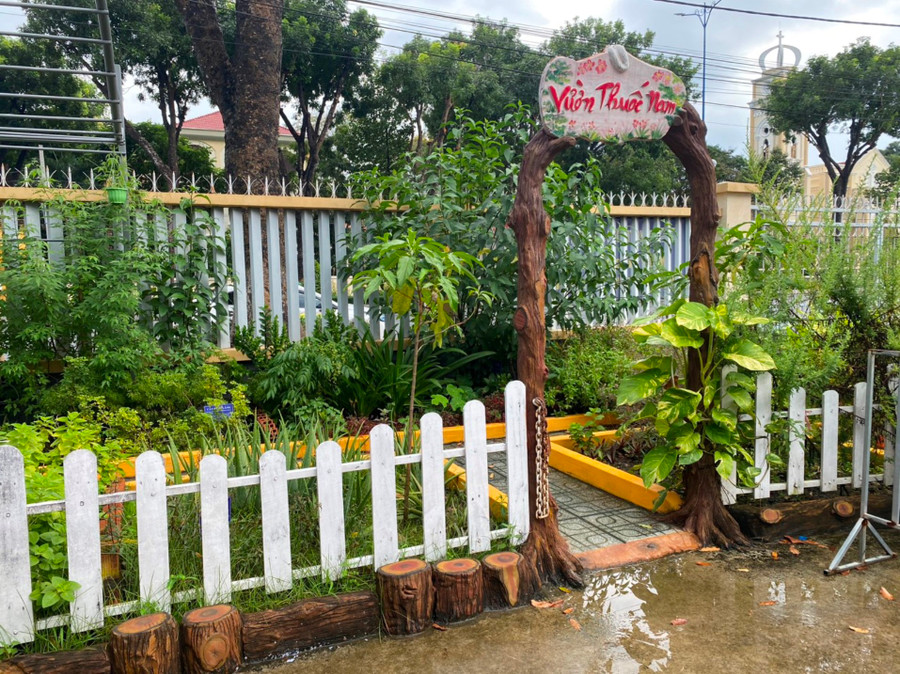 Vườn thuốc nam xanh tốt tại Trường Tiểu học Nguyễn Trãi (TP Mỹ Tho, tỉnh Tiền Giang). Vườn thuốc nam xanh tốt tại Trường Tiểu học Nguyễn Trãi (TP Mỹ Tho, tỉnh Tiền Giang).