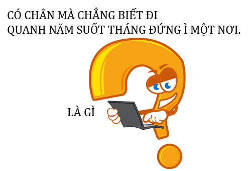 4-8890-1421123453.jpg