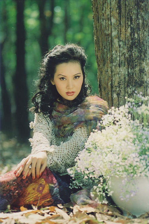 Tài tử, giai nhân dòng phim 