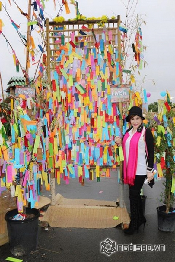 vu-hoang-viet-260215-1.jpg 0